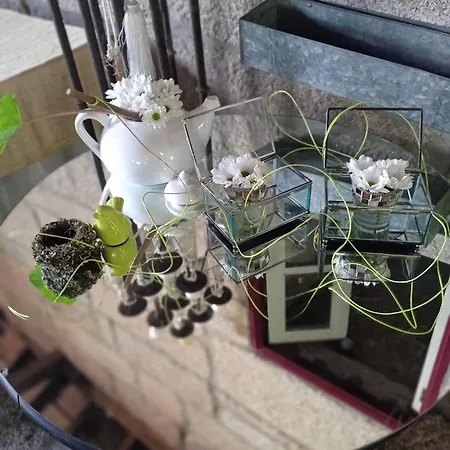 乡村民宿 Casa D'aldeia De Souto De Lafoes Oliveira de Frades