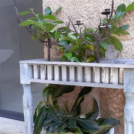 乡村民宿 Casa D'aldeia De Souto De Lafoes *