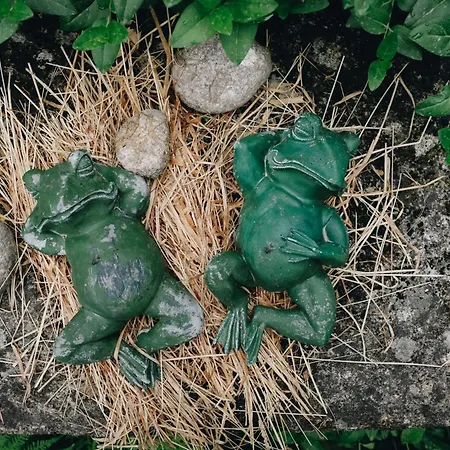 Casa D'aldeia De Souto De Lafoes * Oliveira de Frades