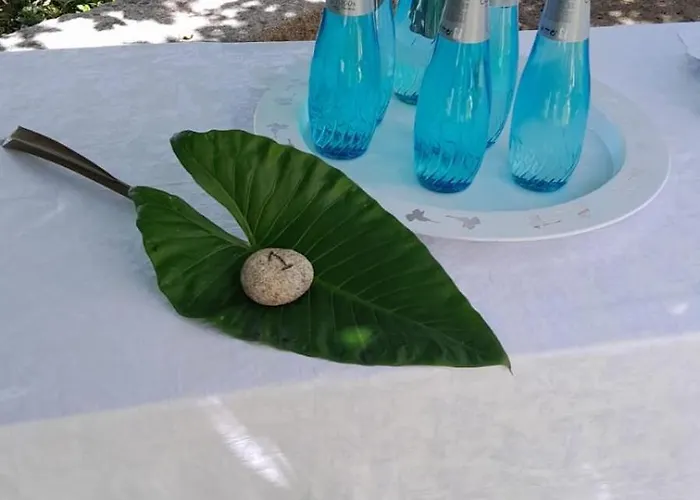 Casa D'aldeia De Souto De Lafoes * オリヴェイラ・デ・フラデス